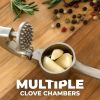 High quality garlic press with soft easy squeeze ergonomic handle, sturdy design extracts more cloves per clove, garlic crusher for nuts and seeds, pr